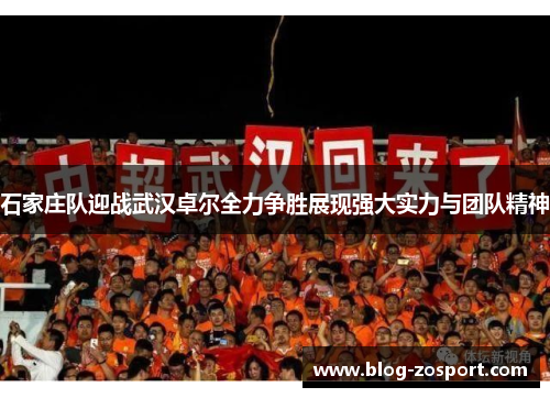 石家庄队迎战武汉卓尔全力争胜展现强大实力与团队精神